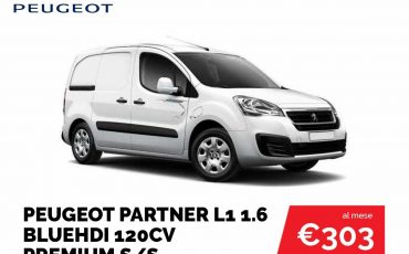 Peugeot 1.6 partner